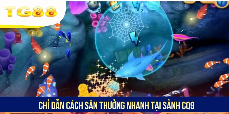 Chỉ dẫn cách săn thưởng nhanh tại sảnh CQ9
